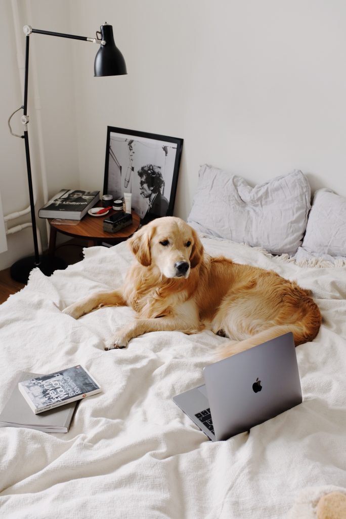 You need a laptop to make money blogging at home