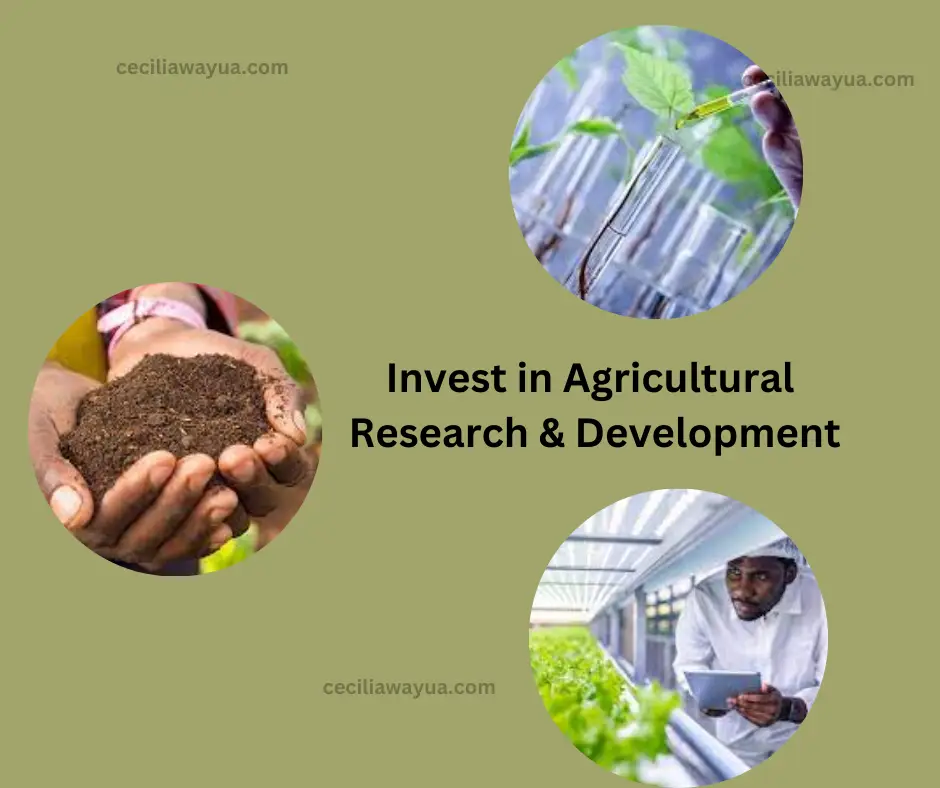 Research and development opportunities in Kenya