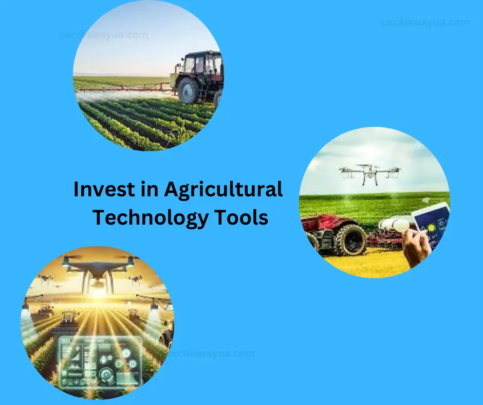 Agricultural technology tools investment opportunities in Kenya